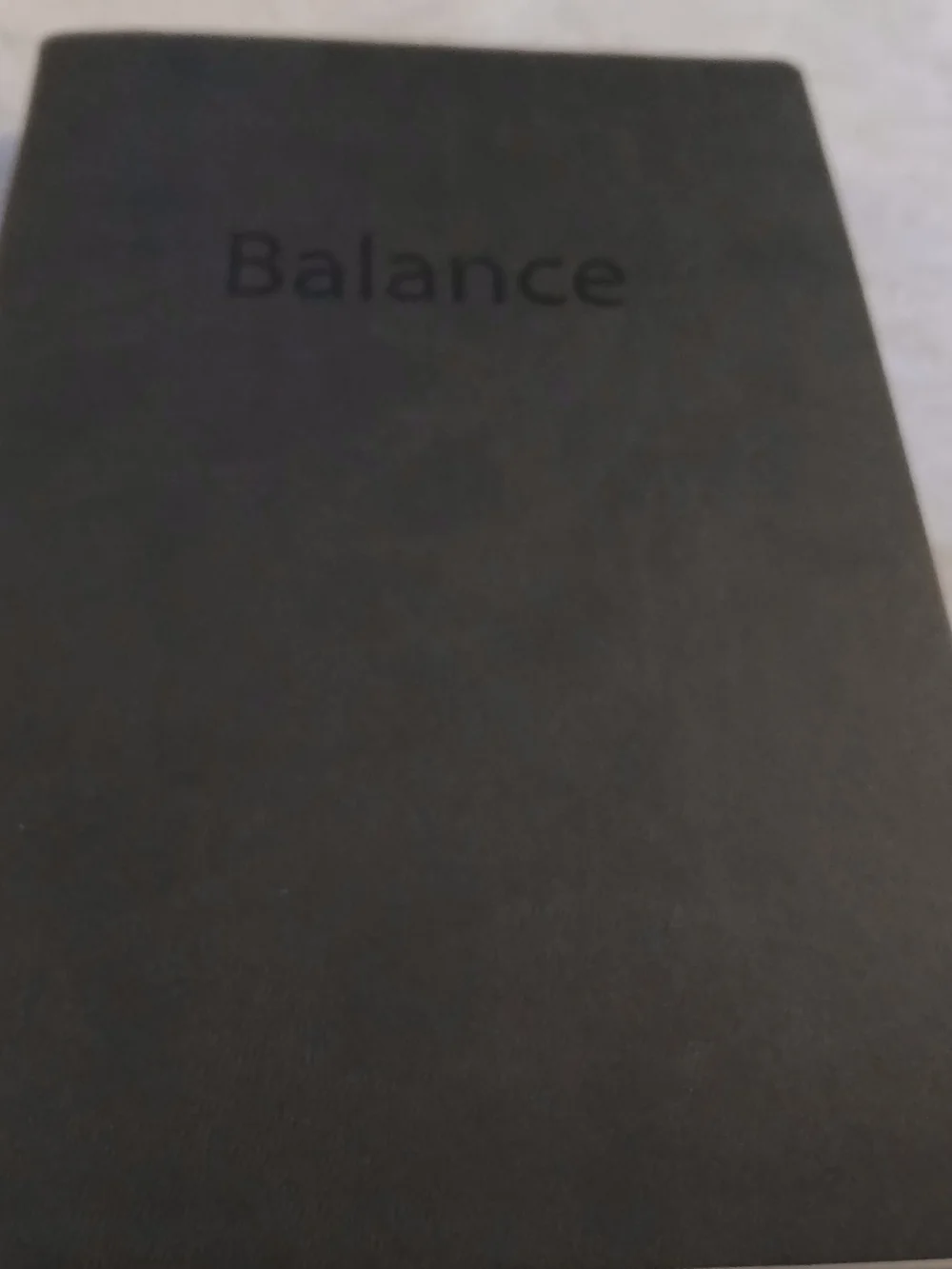 Balance Planner Notebook + Case - Productivity, Journaling, Goal Setting